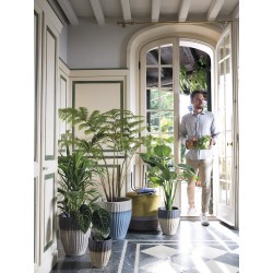 Vase haut deroma riga ø28...