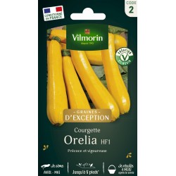 VILMORIN GRAINES...
