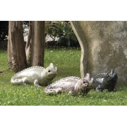 Caméléon forest deroma...