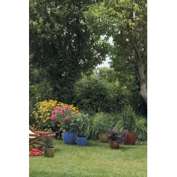 Vase deroma fun ø36 assorti...