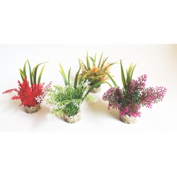 Décor aqua corail...