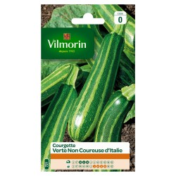 VILMORIN COURGETTE Verte...