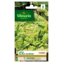 VILMORIN LAITUE POMMÉE Du...