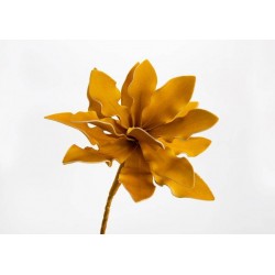 Fleur Cumbia Jaune Safran H54