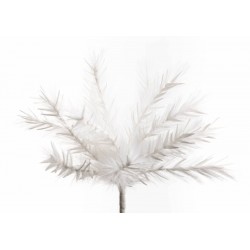 Fleur Sienna Blanc H85