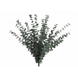 Tige Bouquet Vert Fonce 75Cm