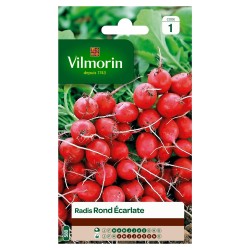 RADIS rond Écarlate SACHET...