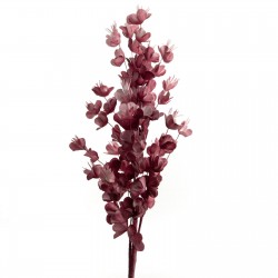 Fleur Lisboa Teracotta H107