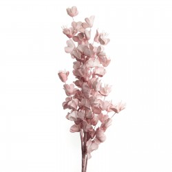 Fleur Lisboa Rose H107