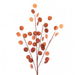 Tige Majorqua Corail H120