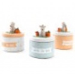 boite à dent martin