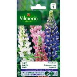 LUPIN annuel varié SACHET...