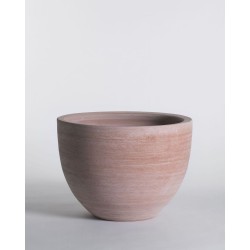Cuvier contemporain BAS...