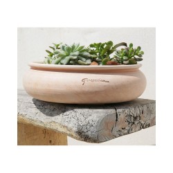 Coupe Ø38-H12.5 Terre cuite...