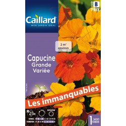 Graines Capucine Grande...