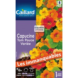 Graines Capucine Tom Pouce...