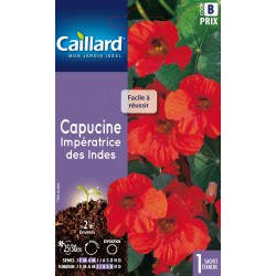 Graines Capucine...