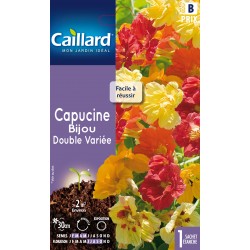 Graines Capucine Bijou...