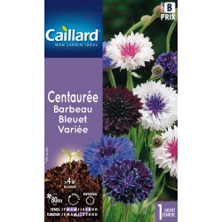 Graines Centauree Barbeau...