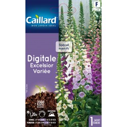 Graines Digitale Excelsior...