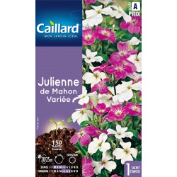 Graines Julienne De Mahon...