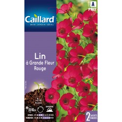 Graines Lin À Grande Fleur...