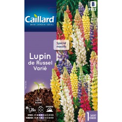 Graines Lupin De Russel...
