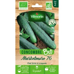 CONCOMBRE Marketmore 76 AB...