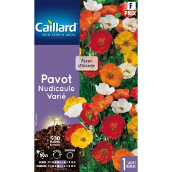 Graines Pavot Nudicaule...