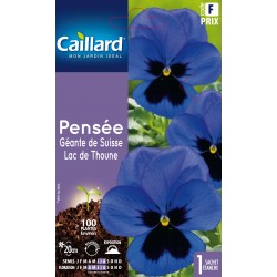 Graines Pensee Geante De...