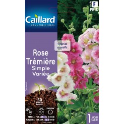 Graines Rose Tremiere...