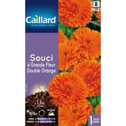 Graines Fleurs Souci À...