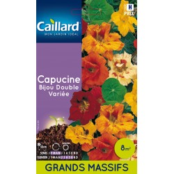Graines Capucine Bijou...