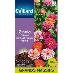 Graines Zinnia Geant De...