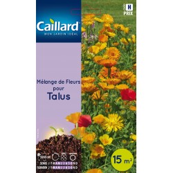Graines Mélange De Fleurs...