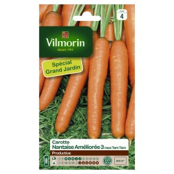 CAROTTE nantaise ameliorée...