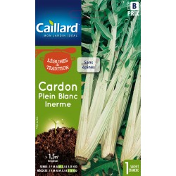 Graines Cardon Plein Blanc...