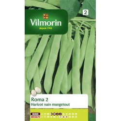 HARICOT nain mangetout Roma...