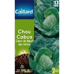 Graines Chou Cabus Coeur De...