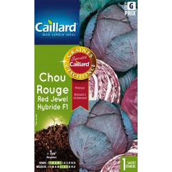 Graines Chou Rouge Red...