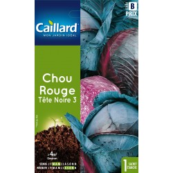 Graines Chou Rouge Tete...