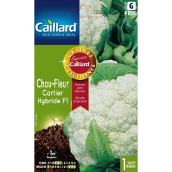 Graines Chou-Fleur Cartier...
