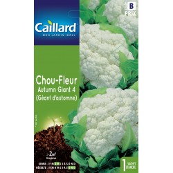 Graines Chou-Fleur Geant...