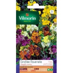 Gir.ravenel.simpl.v.