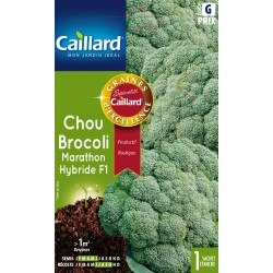 Graines Chou Brocoli...