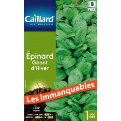 Graines Epinard Geant...