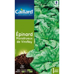 Graines Epinard Monstrueux...