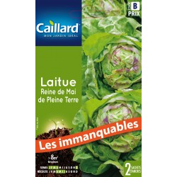 Graines Laitue Pommee Reine...