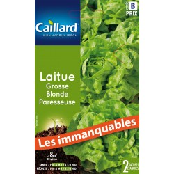 Graines Laitue Pommee...