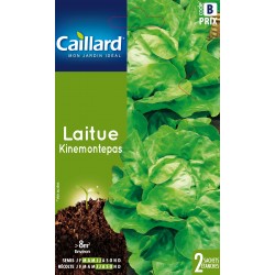 Graines Laitue Kinemontepas...